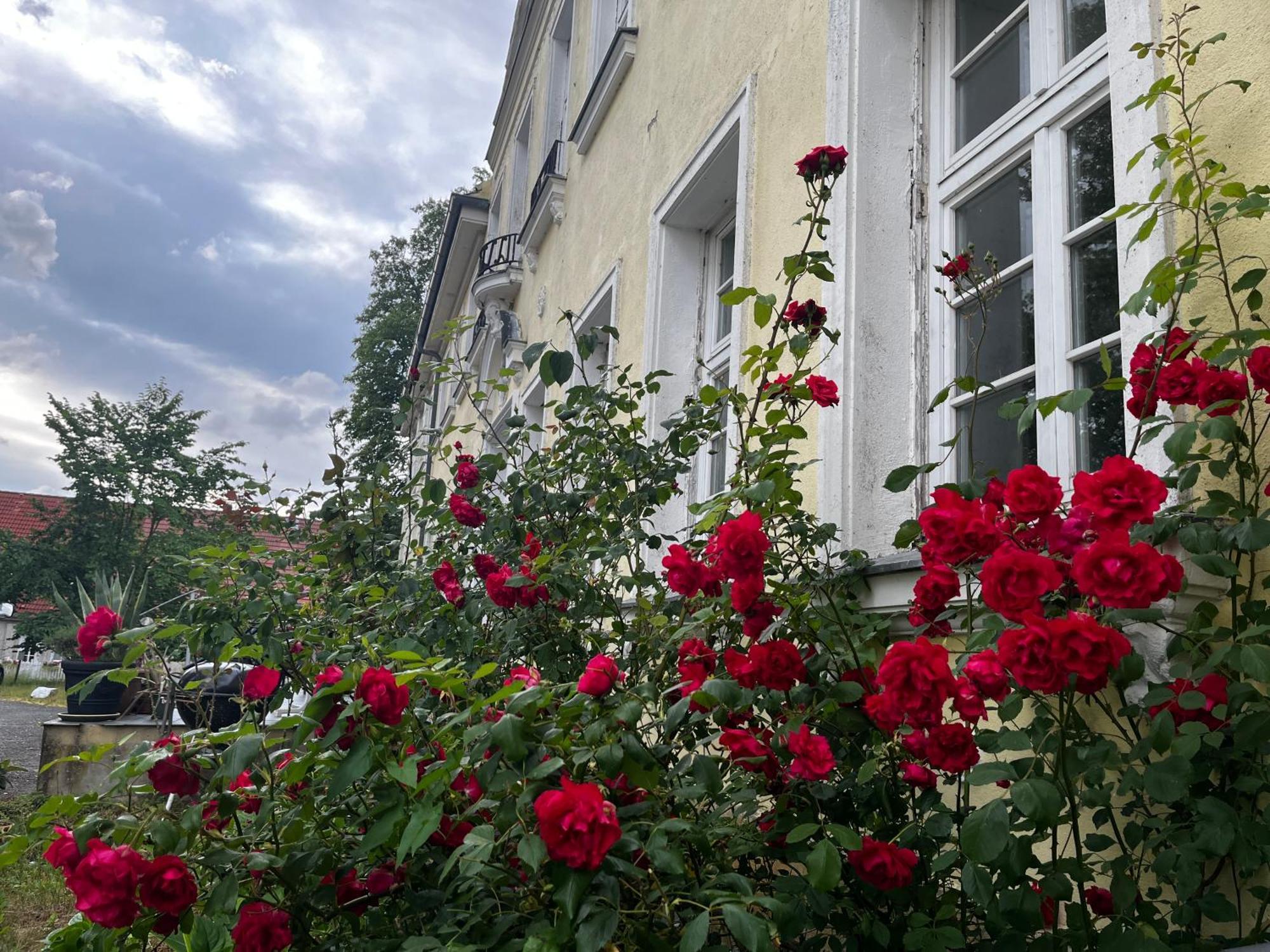Gut Manderow An Der Ostsee Hohenkirchen  Exterior photo